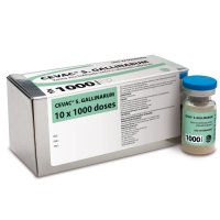 imagen_CEVAC® S GALLINARUM imagen_CEVAC® S GALLINARUM
