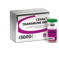 imagen_CEVAC® TRANSMUNE imagen_CEVAC® TRANSMUNE