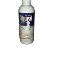 imagen_CIBORAL imagen_CIBORAL