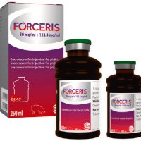 imagen_FORCERIS® imagen_FORCERIS®